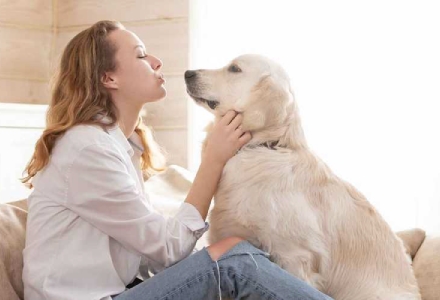 애완동물 알레르기에 대처하는 방법